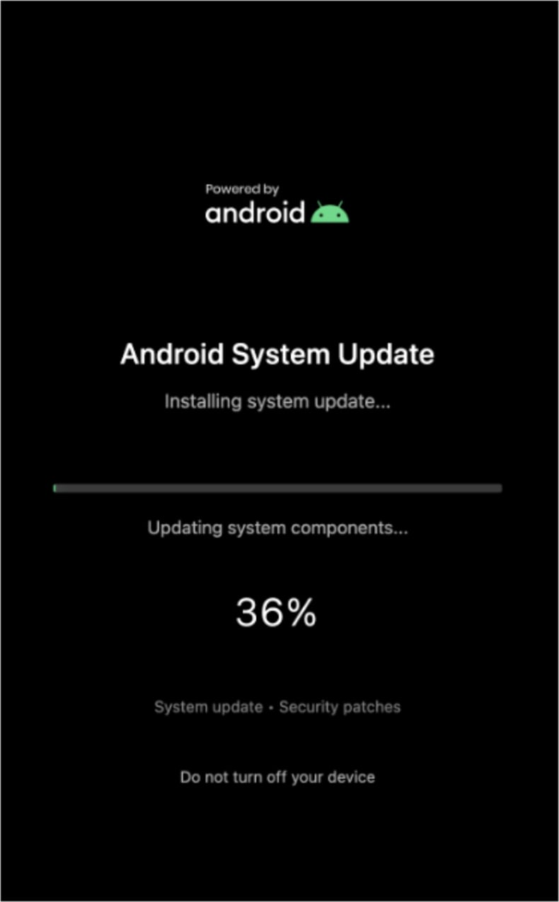Sturnus banking-trojan scherm verbergt achtergrond (bron threatfabric.com)