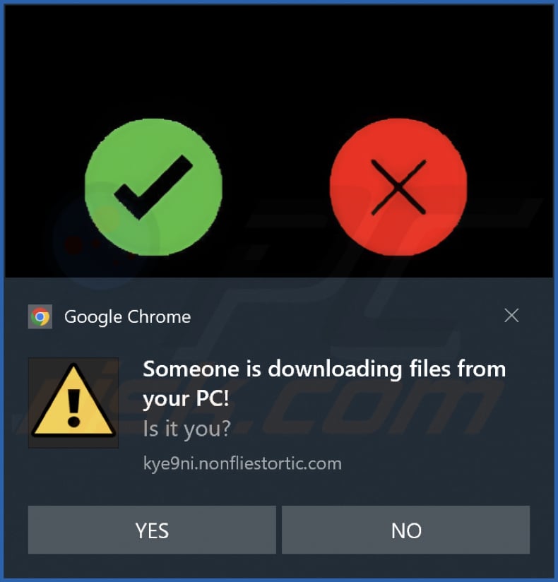 nonfliestortic[.]com kennisgeving