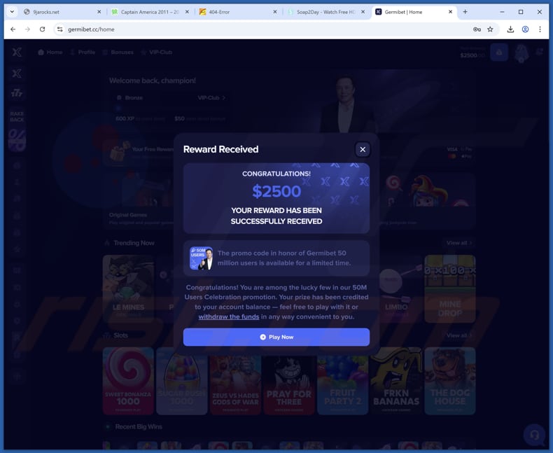 Elon Musk Giveaway fraude nepbeloning