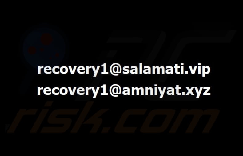 Bear ransomware behang