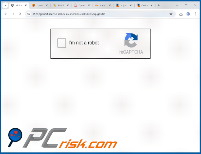 license-check-av[.]site website uiterlijk (GIF)