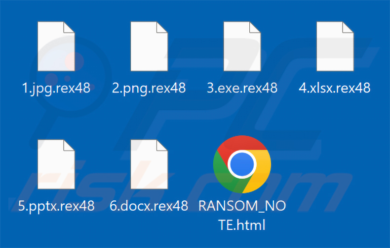 Bestanden versleuteld door Rex ransomware (.rex48 extensie)