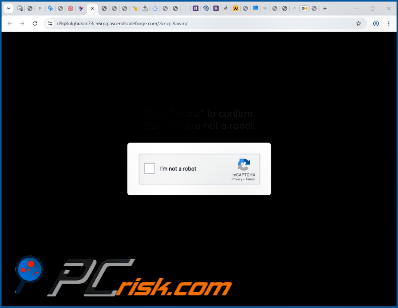 uiterlijk van de ascendscaleforge[.]com-website (GIF)