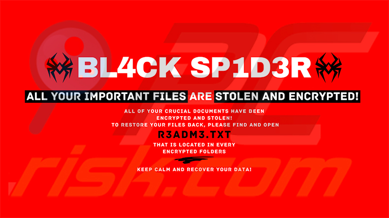 BL4CK SP1D3R ransomware achtergrond