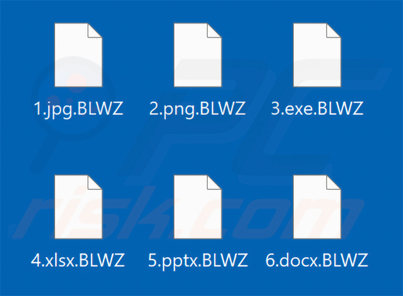 Bestanden versleuteld door BlackWizard ransomware (.BLWZ-extensie)