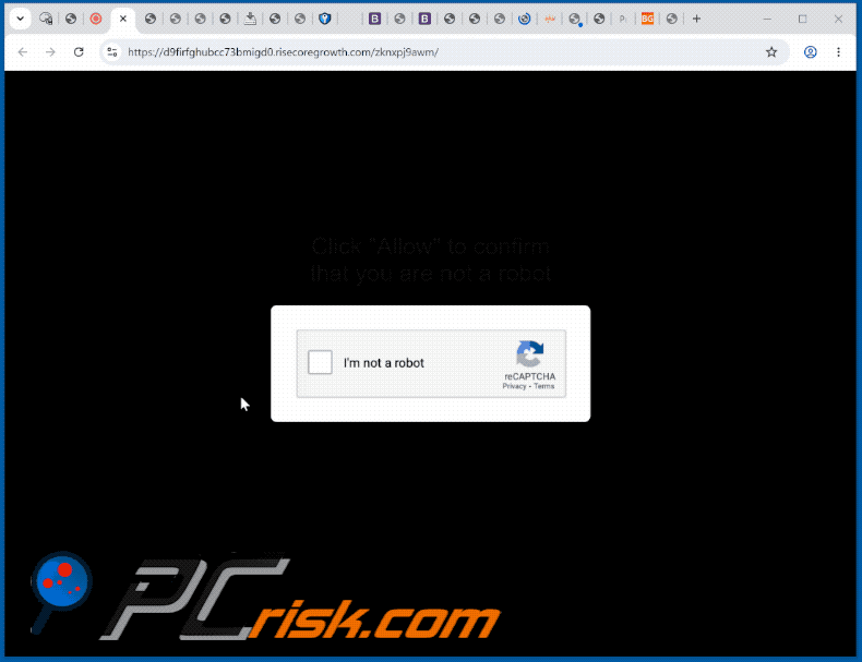 weergave van de website risecoregrowth[.]com (GIF)
