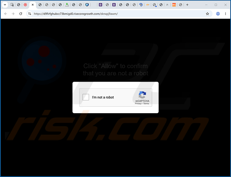 risecoregrowth[.]com advertenties