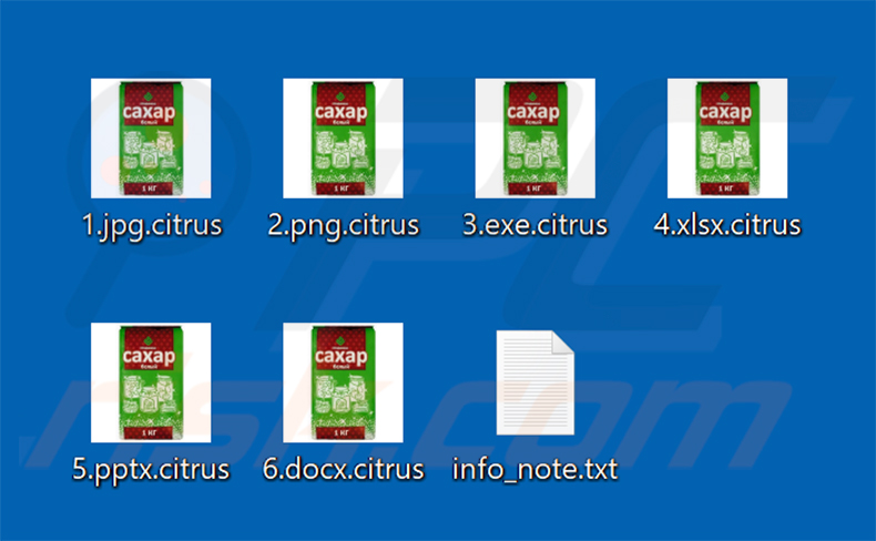 Bestanden versleuteld door Citrus ransomware (.citrus-extensie)