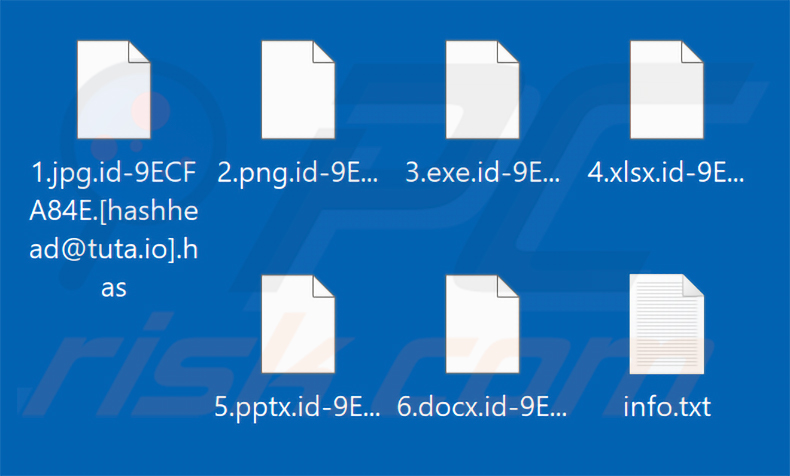 Bestanden versleuteld door Has ransomware (.has-extensie)