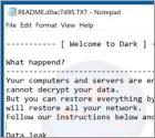 De DarkSide ransomware