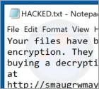 De Smaug ransomware