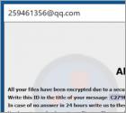 De 259 ransomware