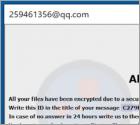 De 259 ransomware