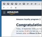 Oplichting via pop-up "Amazon Loyalty Program"