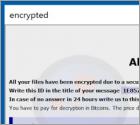 De Elder ransomware