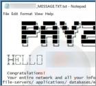 De Pay2Key ransomware
