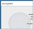 De Easy ransomware