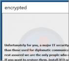 De PAYMENT ransomware