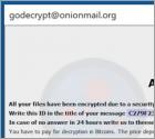 De 4o4 ransomware