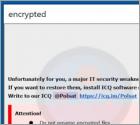 De POLSAT ransomware