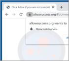 De Allowsuccess.org advertenties