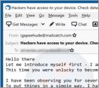 I Am A Professional Programmer Who Specializes In Hacking Email Scam