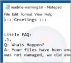 Boss Ransomware