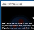 ZEUS Ransomware