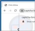 Captcha-bros.com Ads