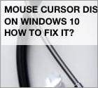 Muiscursor verdwenen in Windows 10. Hoe het te repareren?