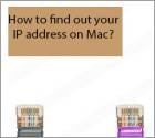 Hoe interne en externe IP-adressen vinden op macOS?