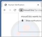 Mous0.biz Ads