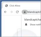 Blandcaptcha.top Ads