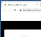 Norton - Your Phone May Be Receiving Many Spam Texts POP-UP Scam