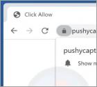 Pushycaptcha.live Ads
