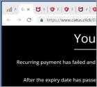 McAfee - Your Card Payment Has Failed! POP-UP Scam