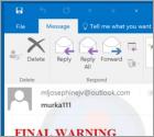 Final Warning Email Scam