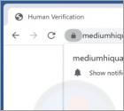 Mediumhiquality.com Ads
