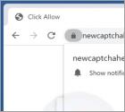 Newcaptchahere.top Ads