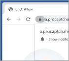 Procaptchahub.top Ads