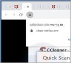 CCleaner Total Protection POP-UP Scam