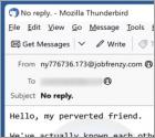Hello My Perverted Friend Email Scam