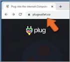 Plug Wallet Scam