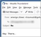 Oplichting via e-mail I Compromised Your Operating System