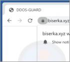 Biserka.xyz Ads