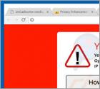 Your Computer May Have a Virus! Zwendel