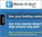 BlockAndSurf Advertenties