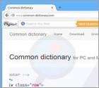Ads by Common Dictionary