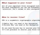 Samsam Ransomware