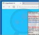 CryptoShield Ransomware